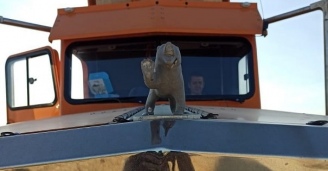 Фото Тонар – карьерный монстр №2